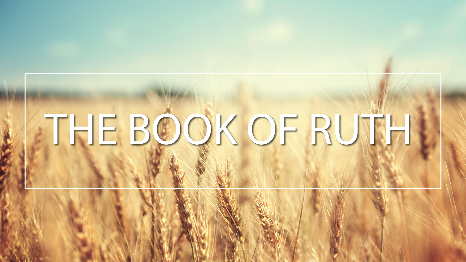 Ruth 2:1-23 | Ruth’s Lowly Service: “Let Me Glean”